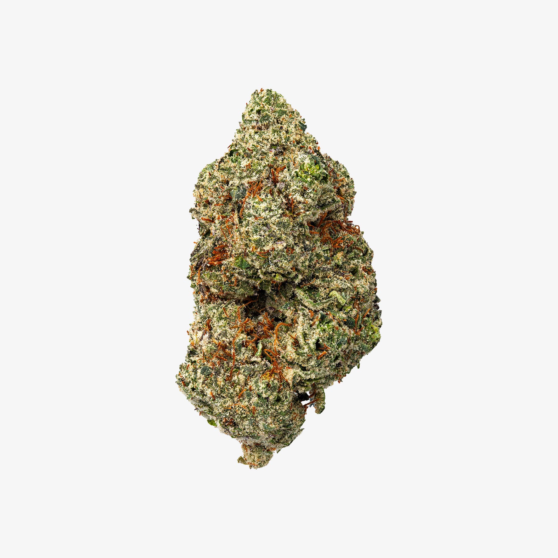 Green cannabis bud on a white background
