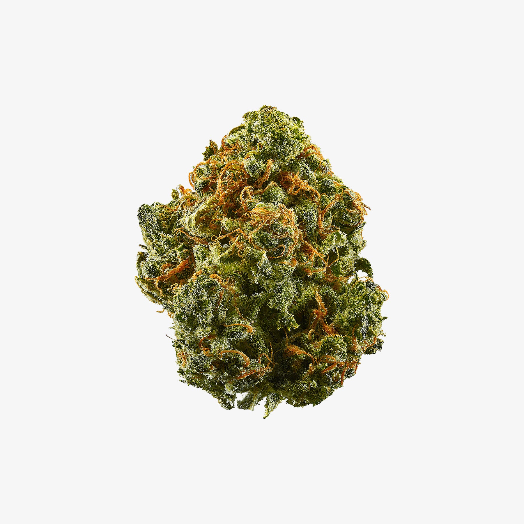Close-up of a cannabis bud on a white background