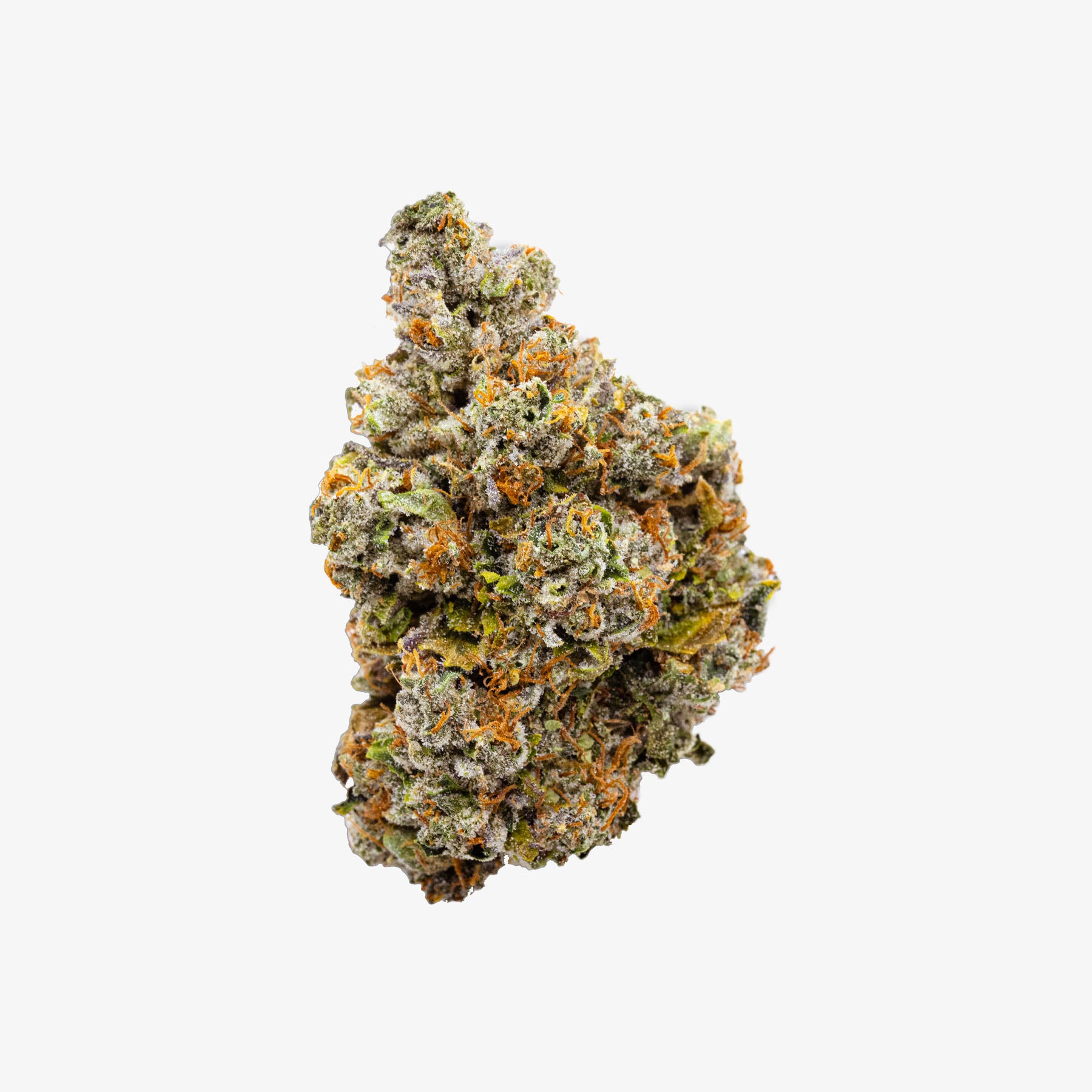 Close-up of a cannabis bud on a white background