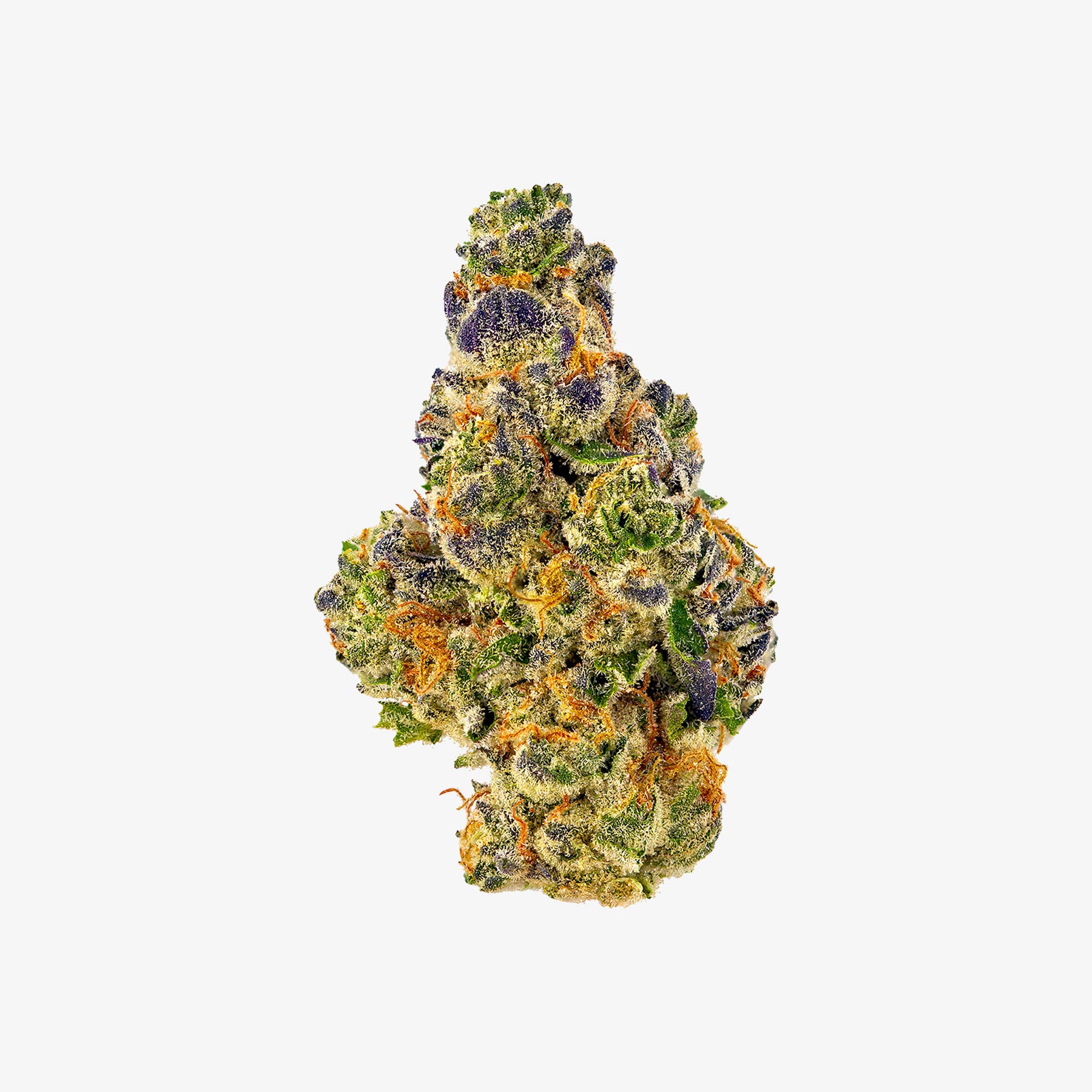 haze exotics platinum reserve thc-a flower pink gumbo detail