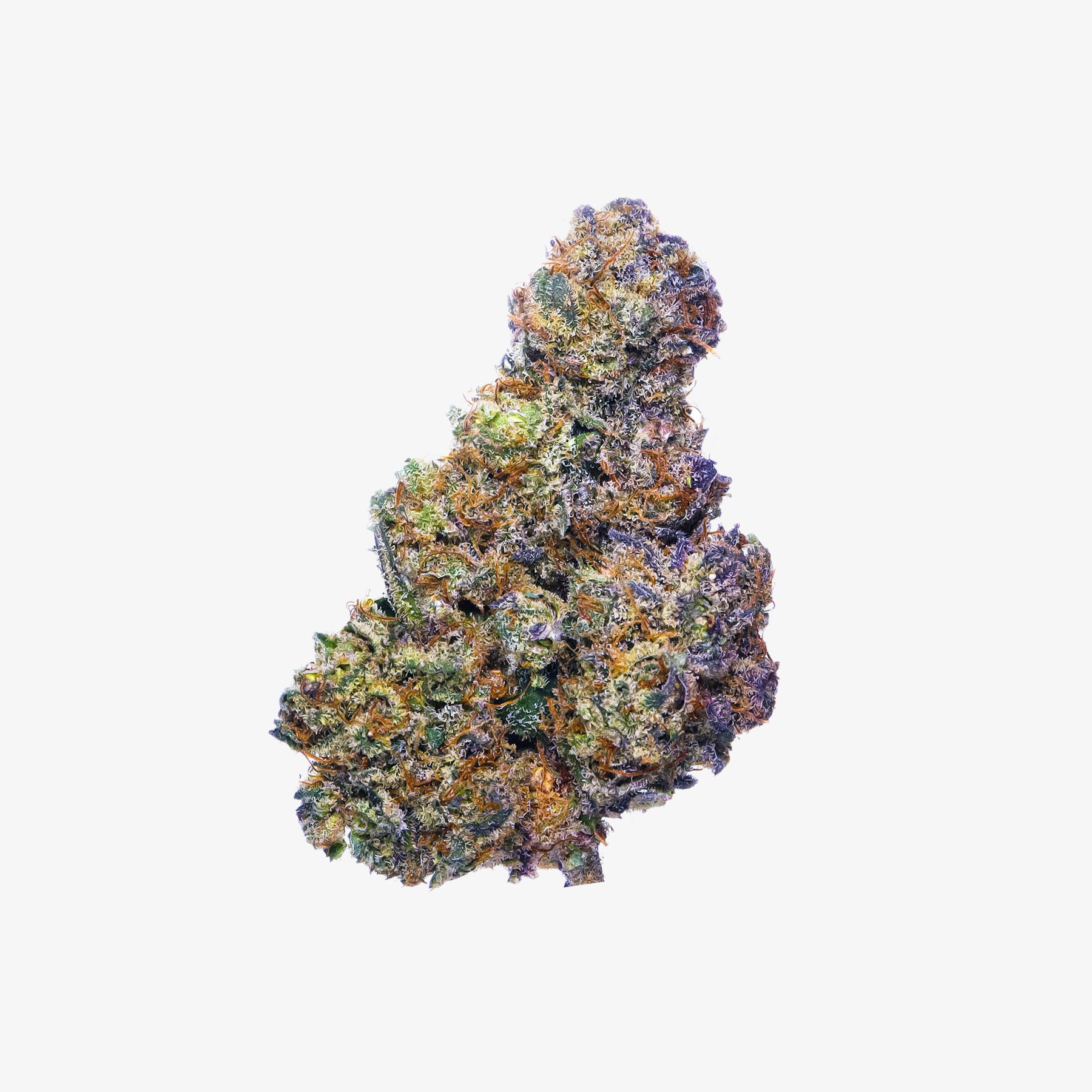 THC-A Flower / Space Captain / 3.5g Jar / Haze Exotics Platinum Reserve