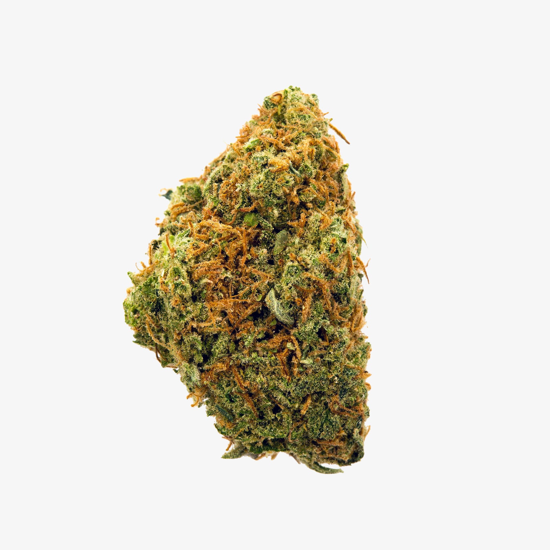 Close-up of a cannabis bud with orange trichomes on a white background