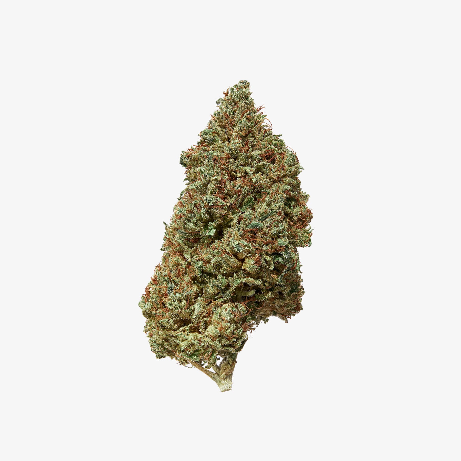 haze exotics platinum reserve thc-a flower 3.5 gram jar detail
