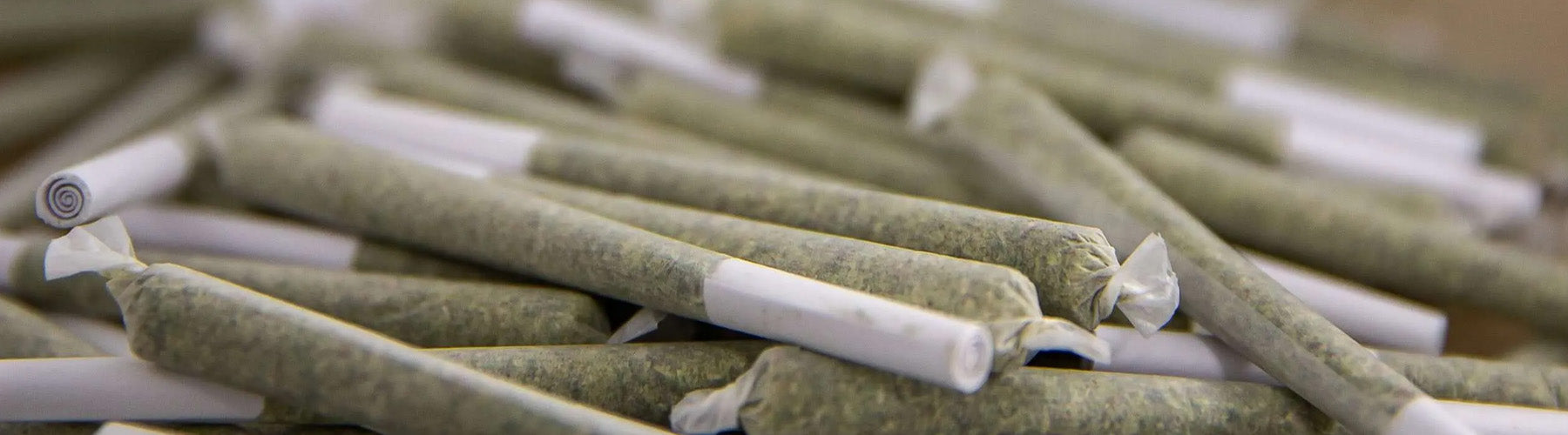 704 hemp thc-a prerolls