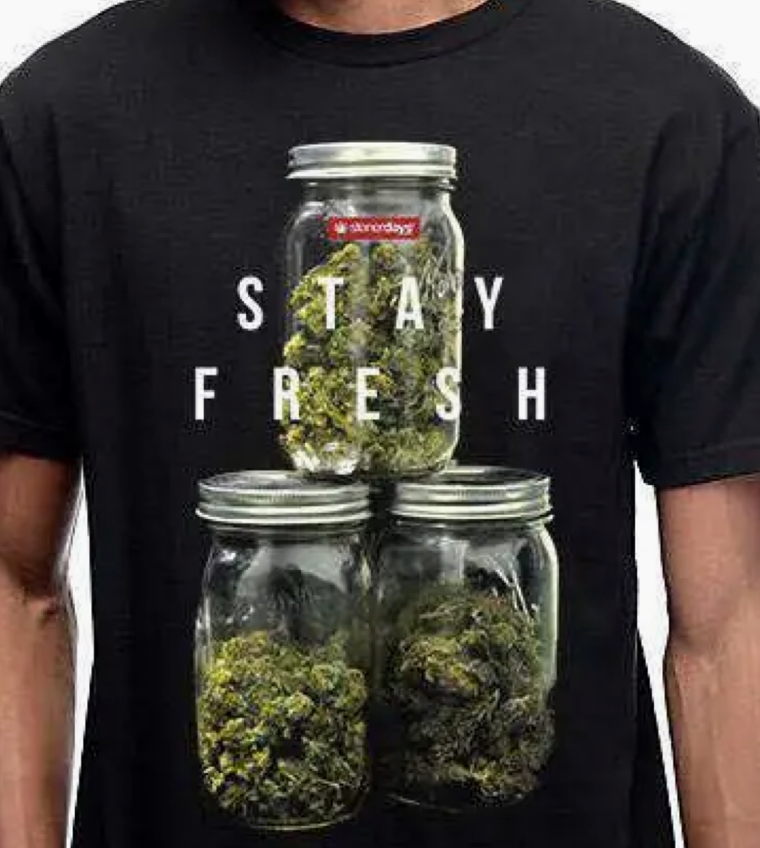 Stay Fresh - T-Shirt