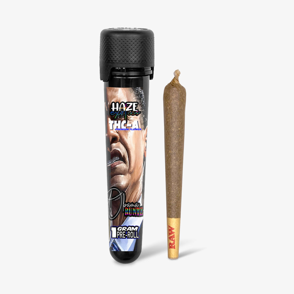 THC-A Flower / Obama Runtz / 1g Preroll / Haze Exotics