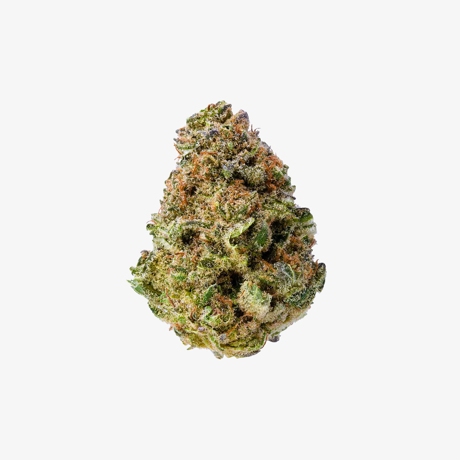 THC-A Flower / Fiestaz / 3.5g Jar / Haze Exotics Gold Reserve