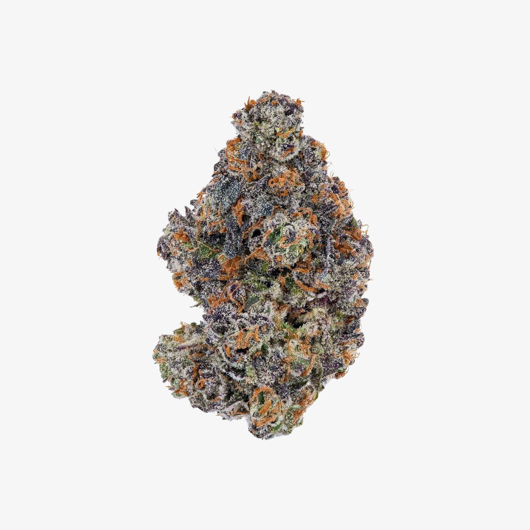 Haze Exotics Gold Reserve Godfather OG cannabis bud on a white background