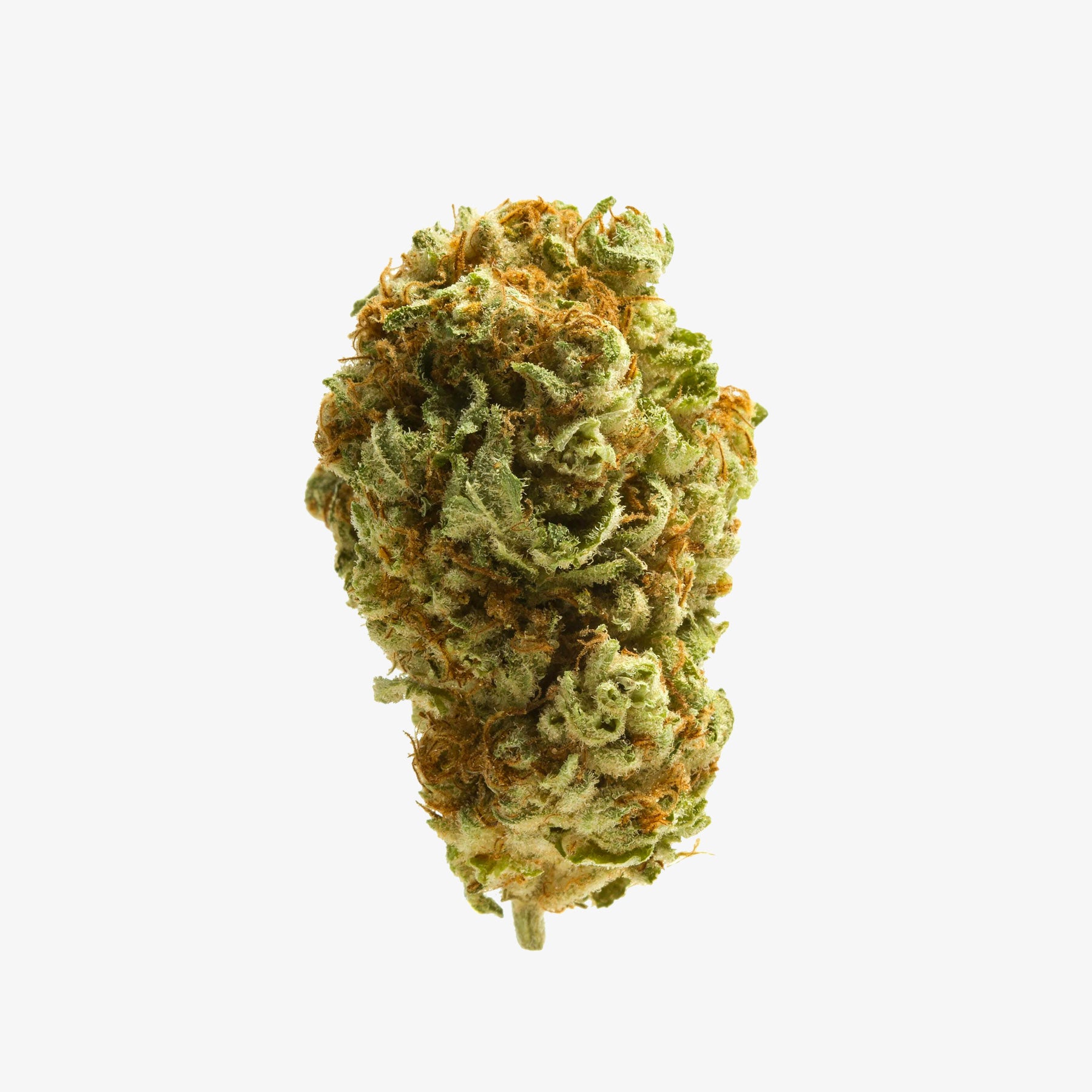 THC-A Flower / Scent Marker / 3.5g Jar / Haze Exotics Gold Reserve