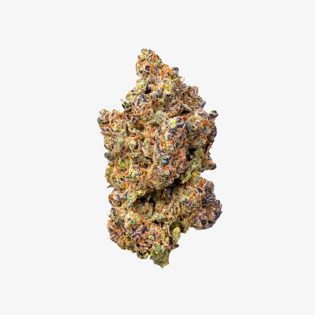 A single nugget of black rabbit strain centered on a plain light gray background, showing a mix of green, orange, and brown tones with trichome detail.