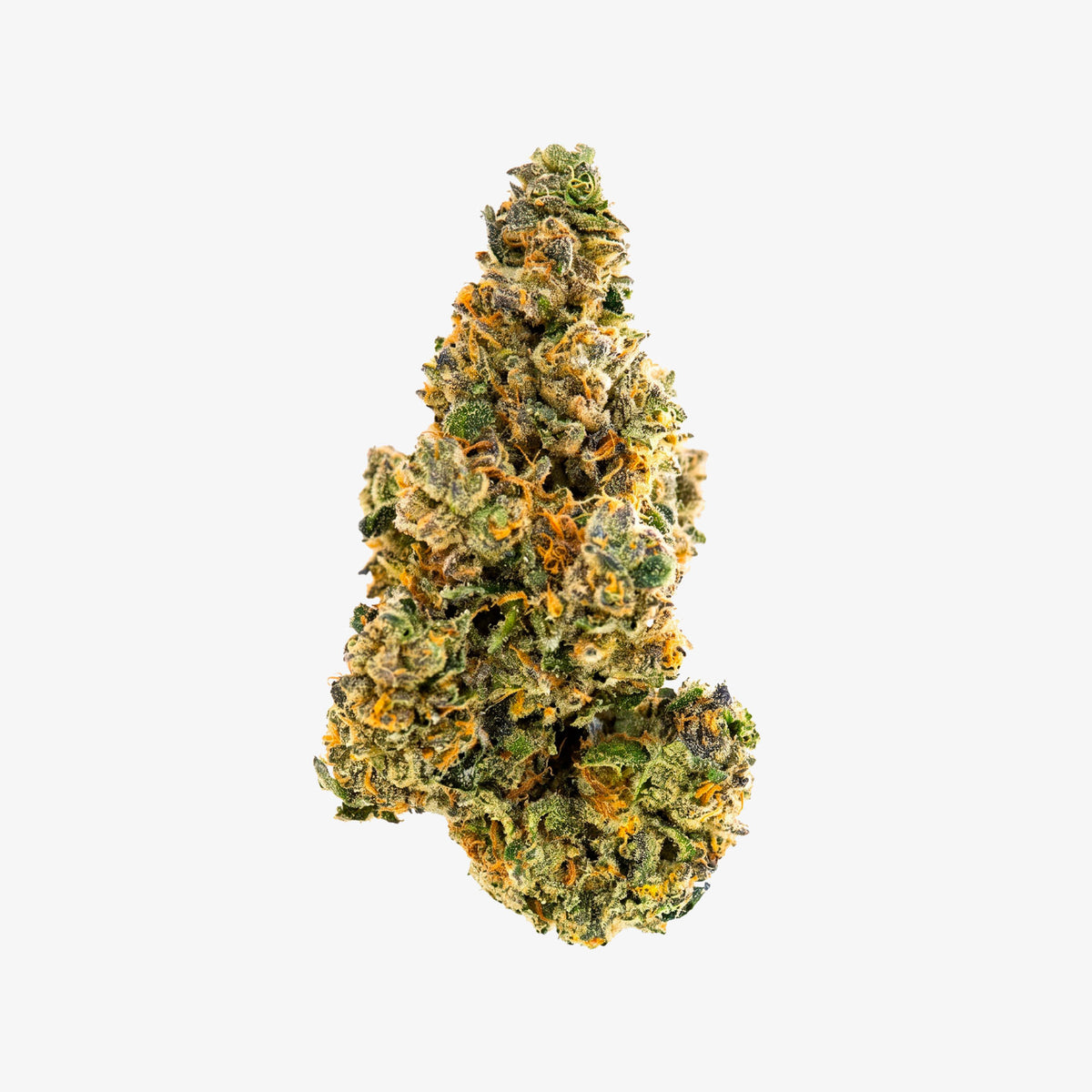 A single cannabis flower bud isolated on a plain light gray/white background, showing a mix of green, yellow, and orange tones with trichome detail.
