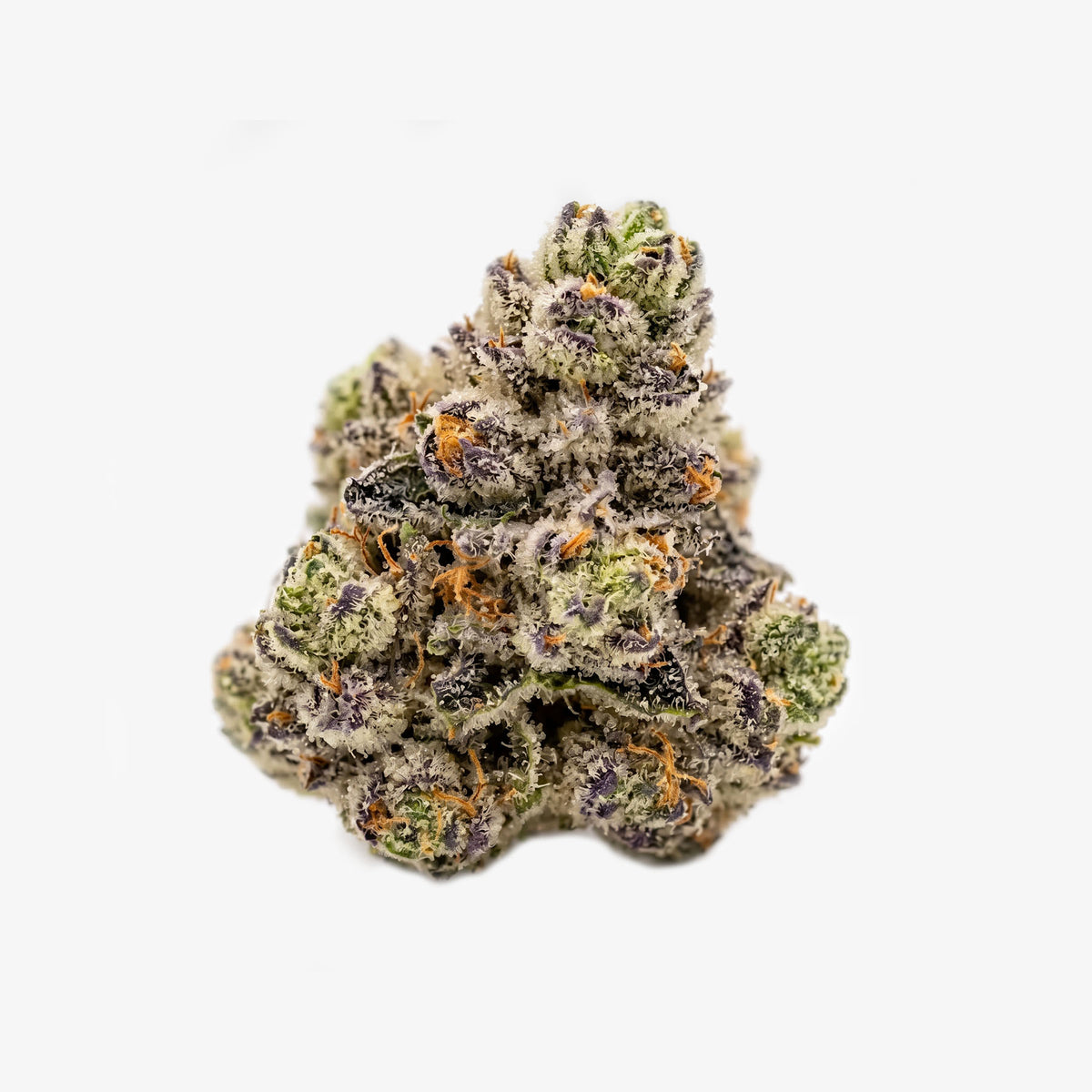 A single dried cannabis bud cluster covered in frosty white trichomes, with visible green and orange pistils, isolated on a light gray background.
