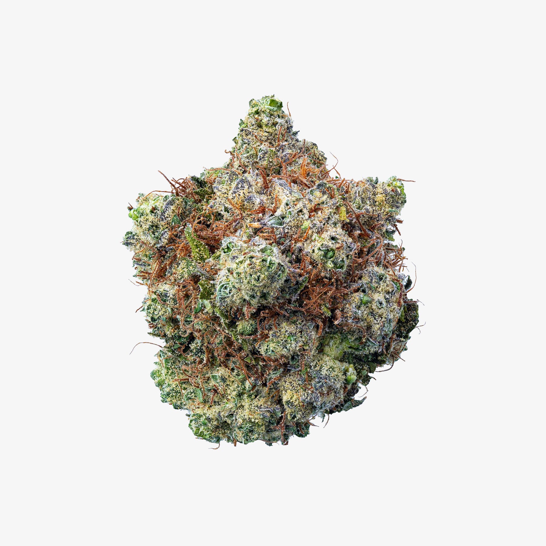 Close-up of bubble gum cannabis bud on a white background