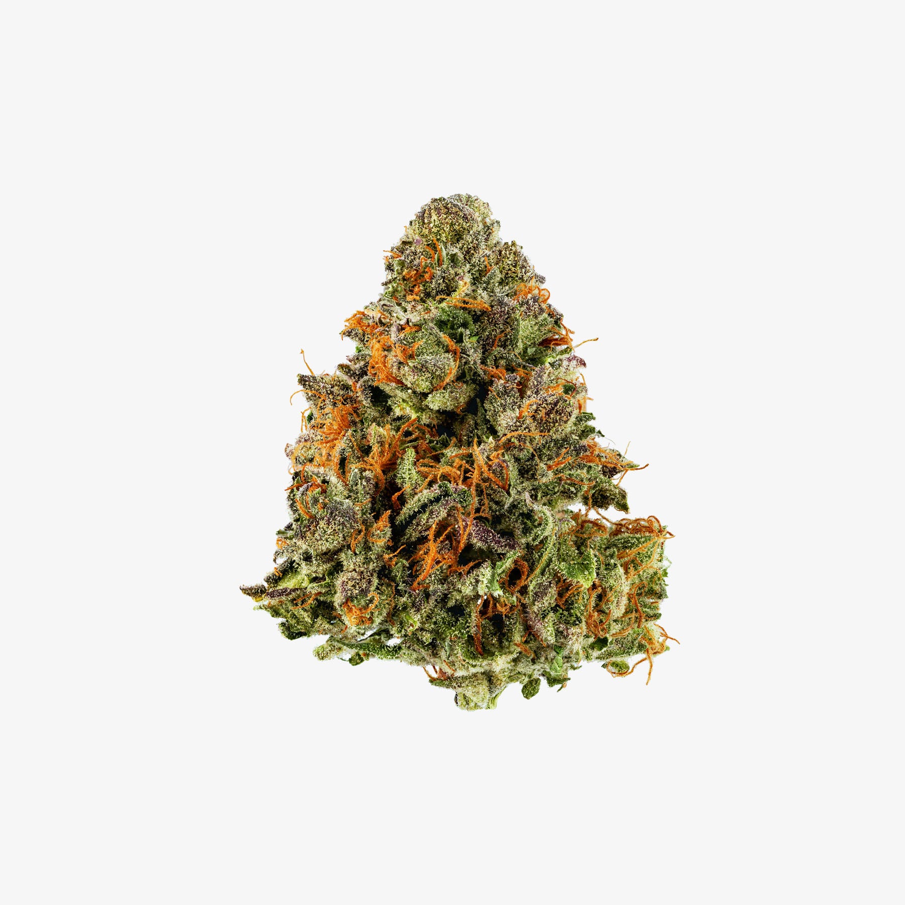 THC-A Red Eye cannabis bud with orange trichomes on a white background