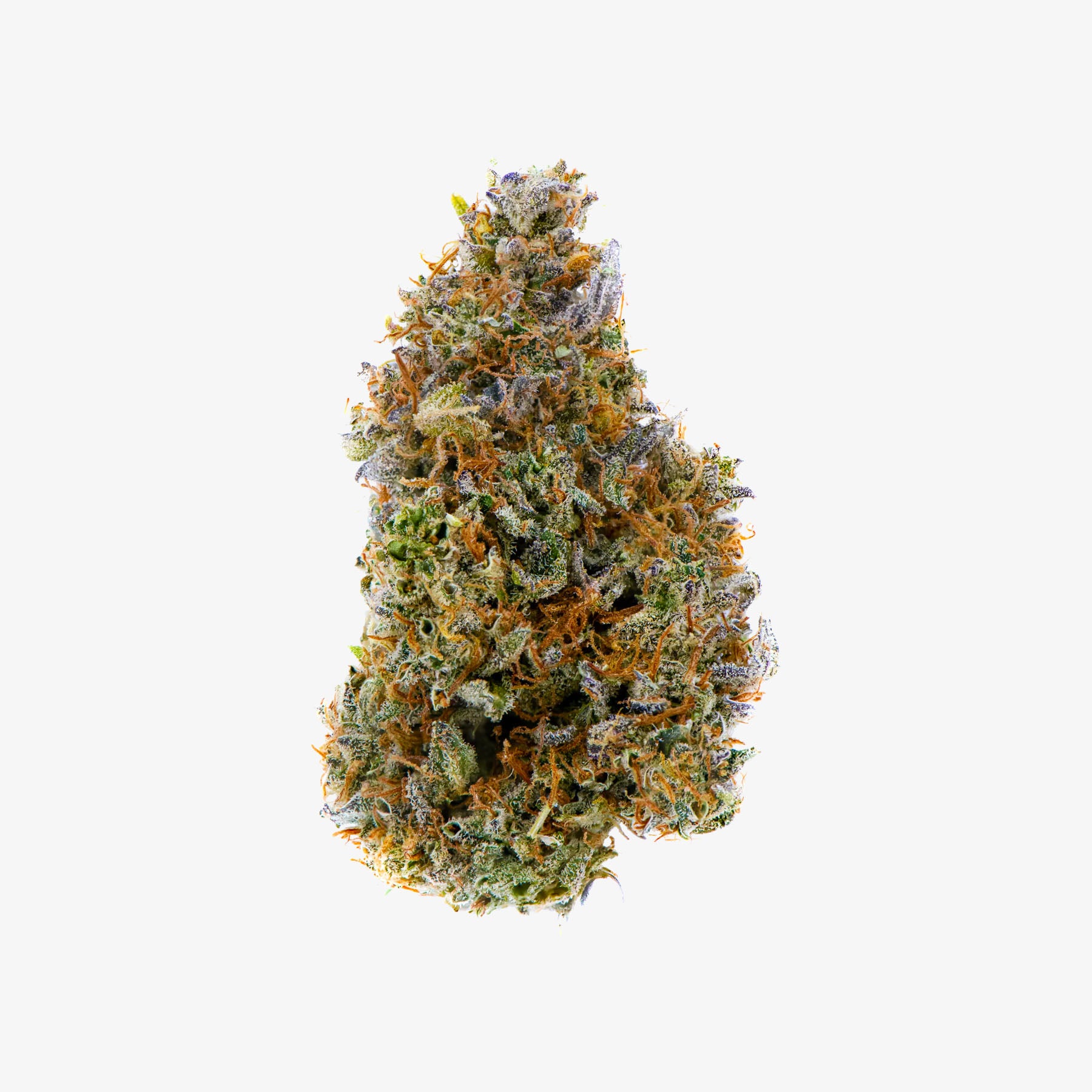 Haze Exotics Platinum Reserve Skunk master funk THC-A bud on a white background