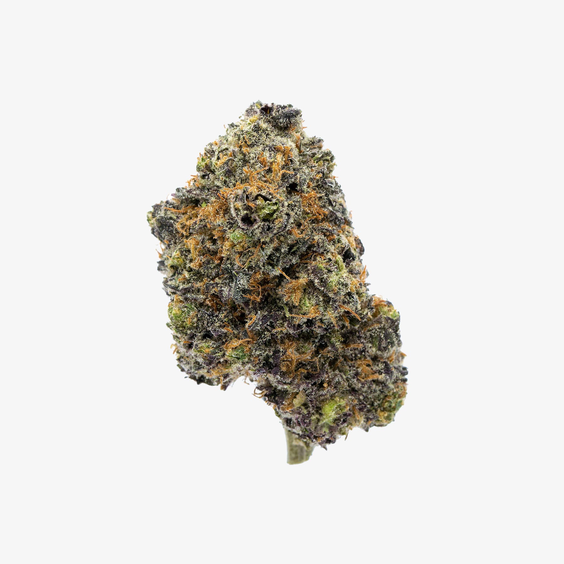 haze exotics platinum reserve thc-a flower papaya power detail