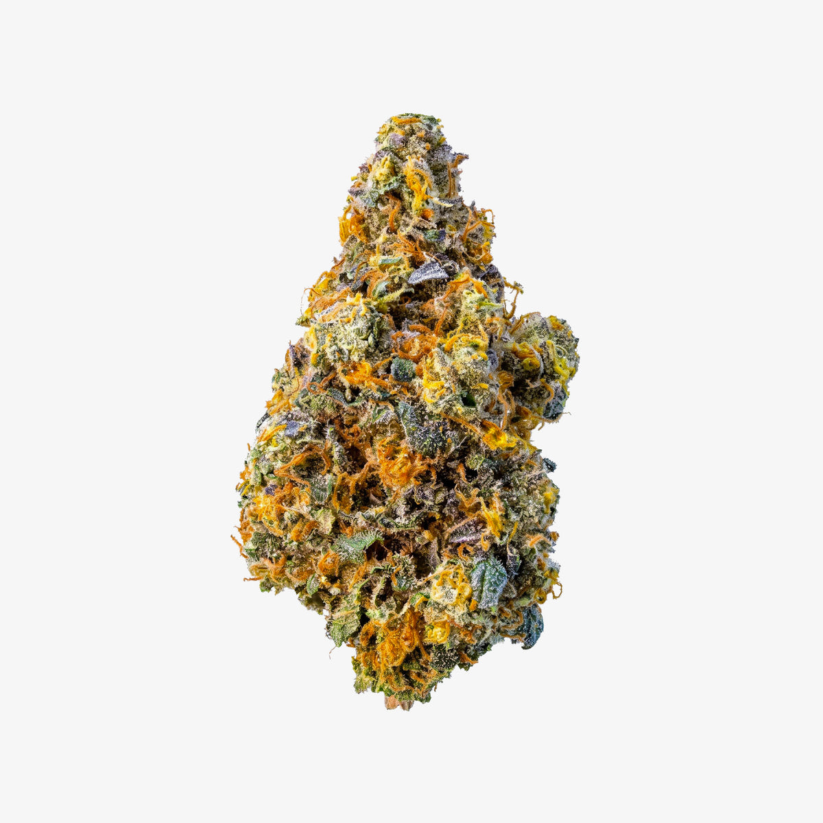 Image of Platinum Reserve THC-A Velvet Punch nugget on a white background.