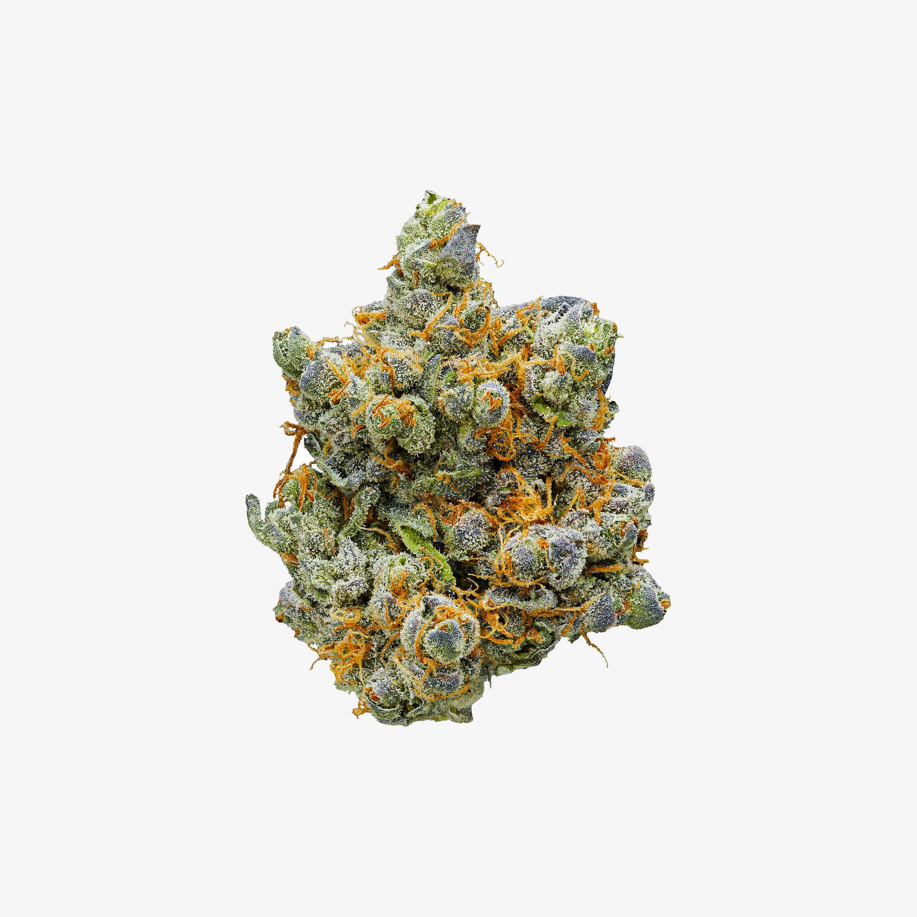 THC-A Flower / Big Z / 3.5g Jar / Haze Exotics