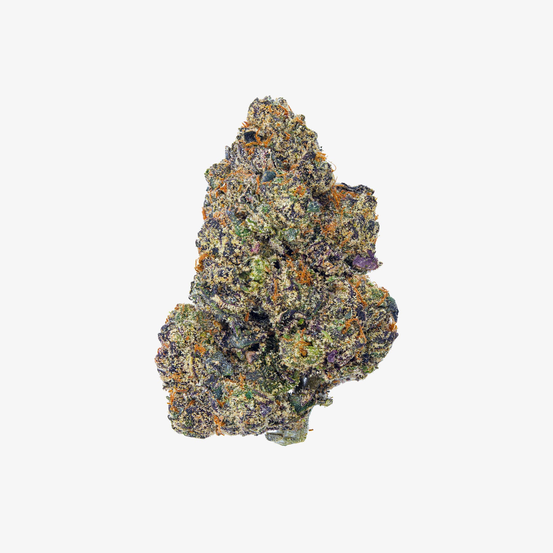 haze exotics gold reserve thc-a flower purple runtz detail