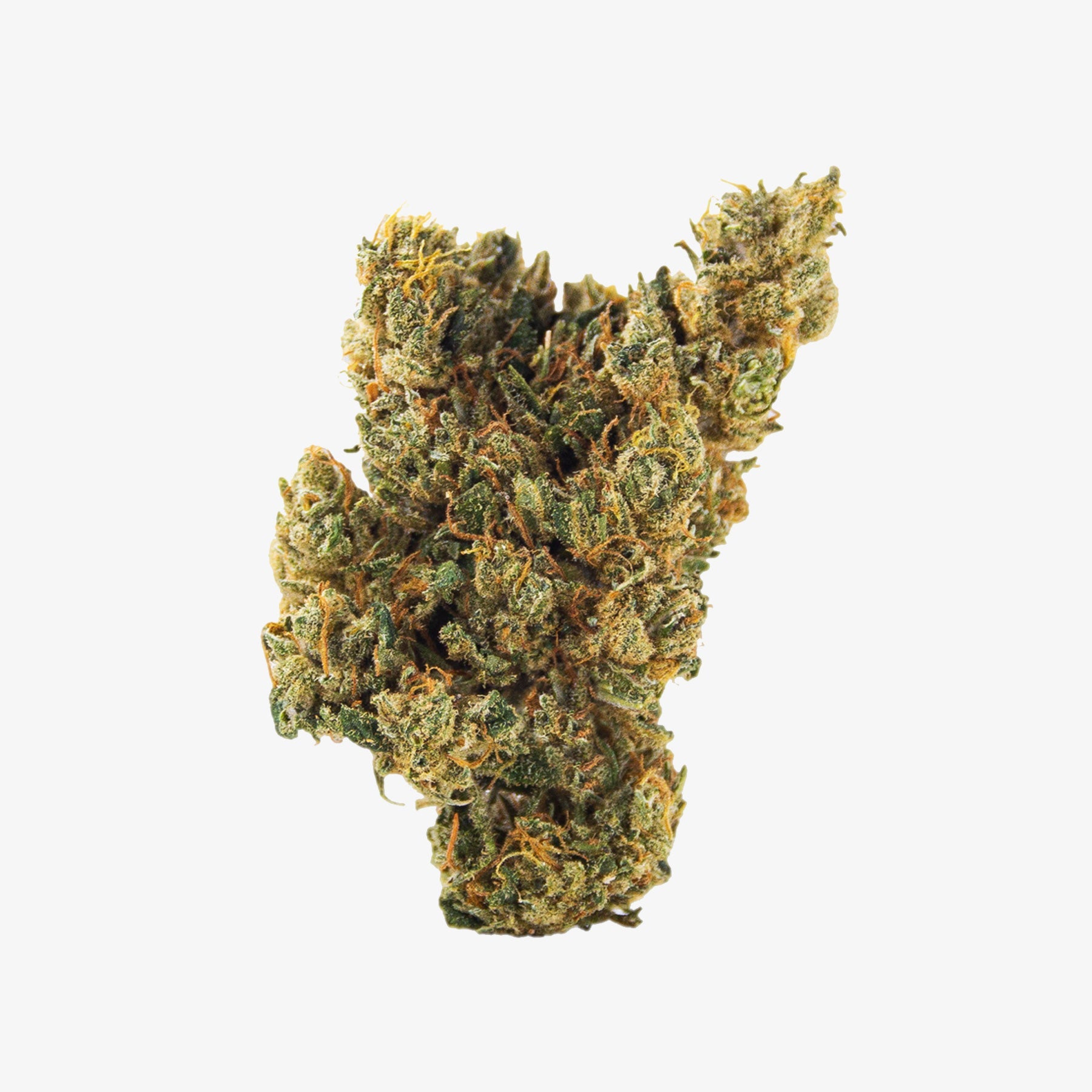 new standard hemp hemp flower hawaiian haze 3.5g detail