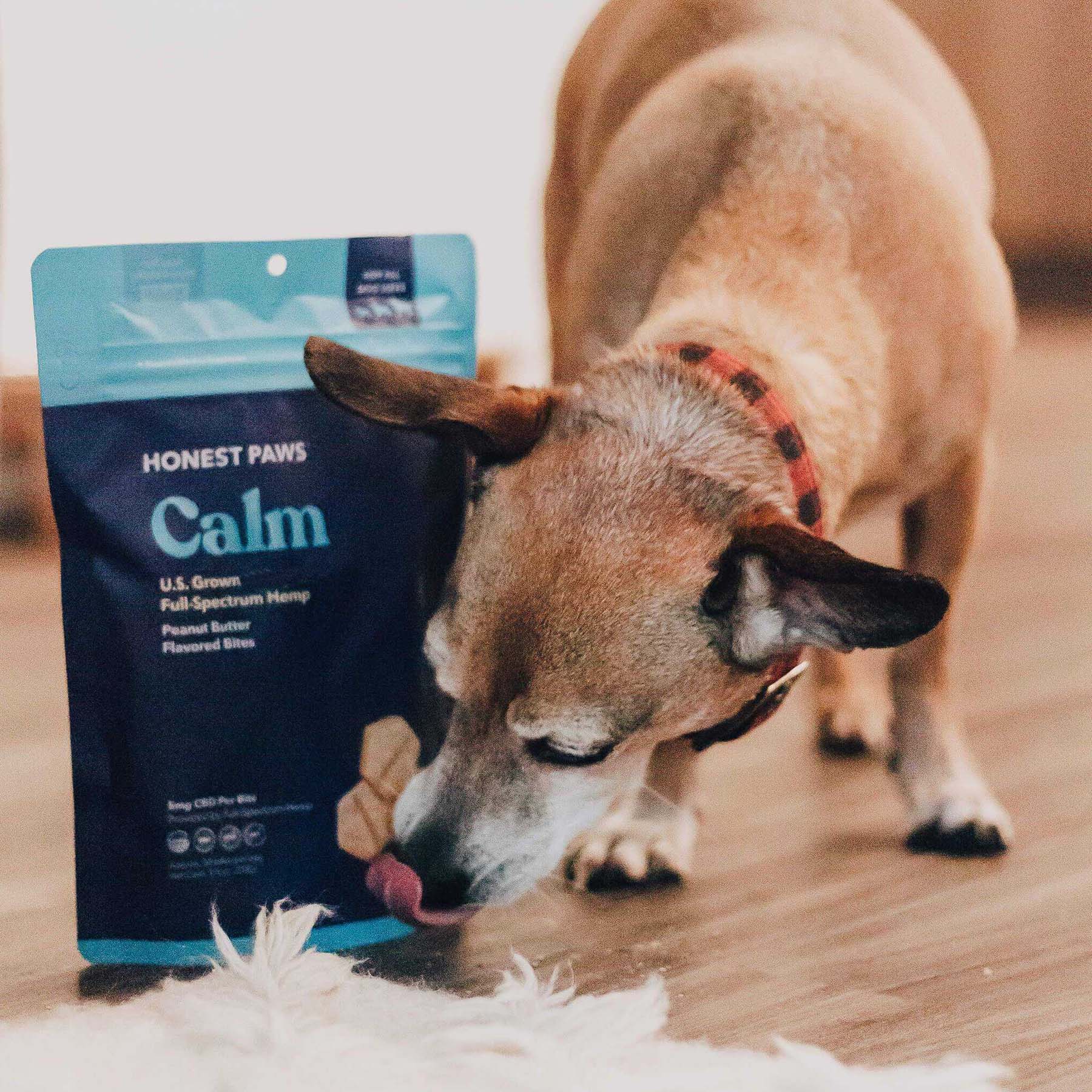 honest paws cbd calm bites dog